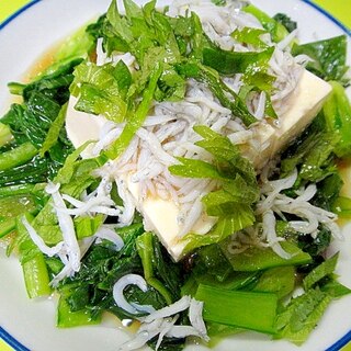 豆腐と小松菜しらすのサラダ
